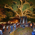 Unlock the Benefits of Joining the Danville California Business Networking Group