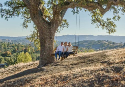 What Types of Businesses are Members of the Danville California Business Networking Group?